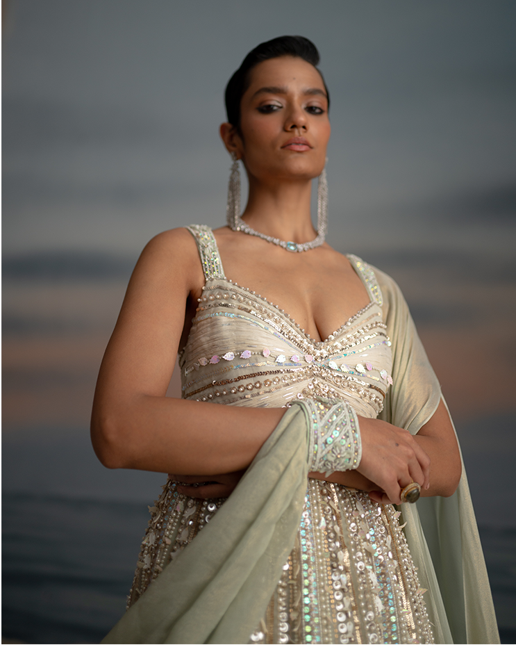 Sequins & Pearl Embroidered Gown