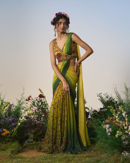 Draped saree, wrap blouse