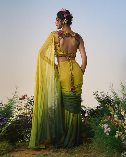 Draped saree, wrap blouse