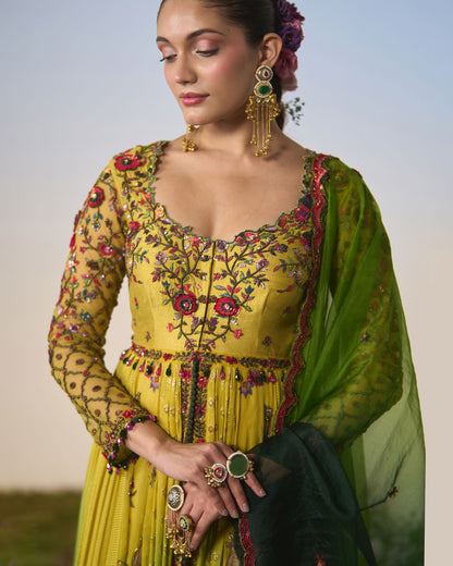 Anarkali, pants, dupatta