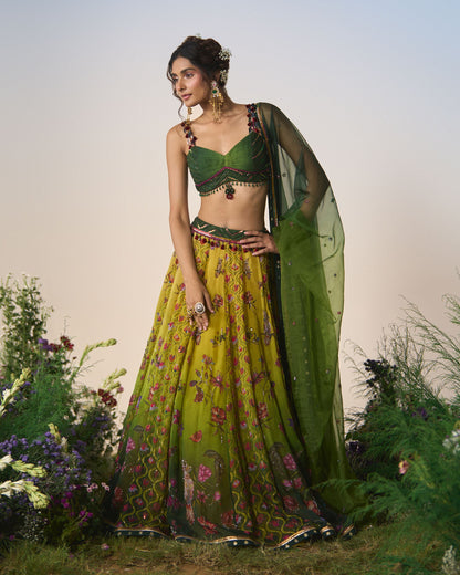 Lehenga, Blouse, dupatta