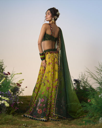Lehenga, Blouse, dupatta