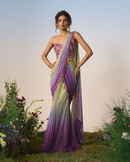 Draped saree, blouse