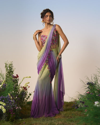 Draped saree, blouse