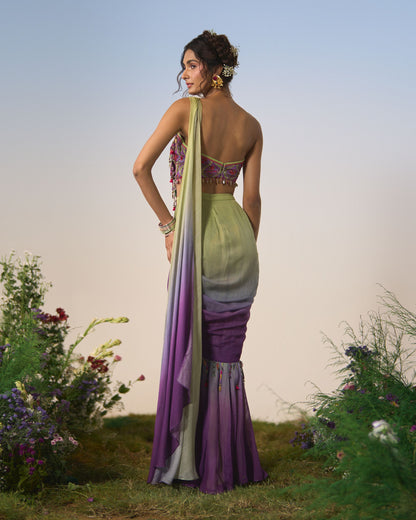 Draped saree, blouse