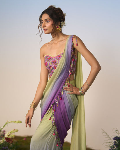 Draped saree, blouse