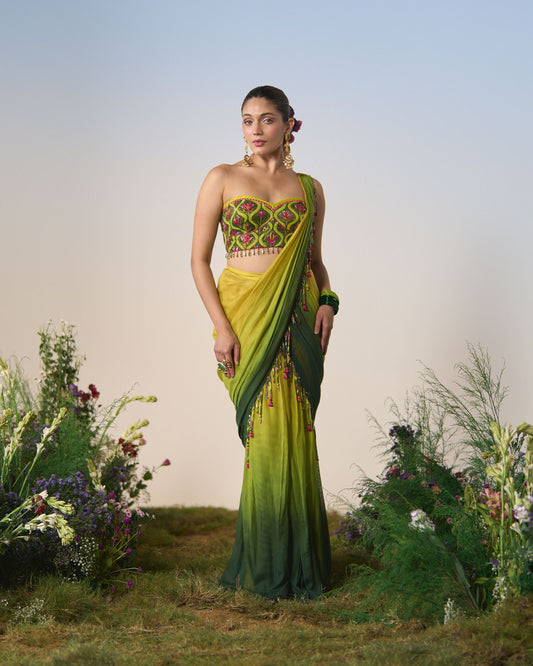 Draped saree, blouse
