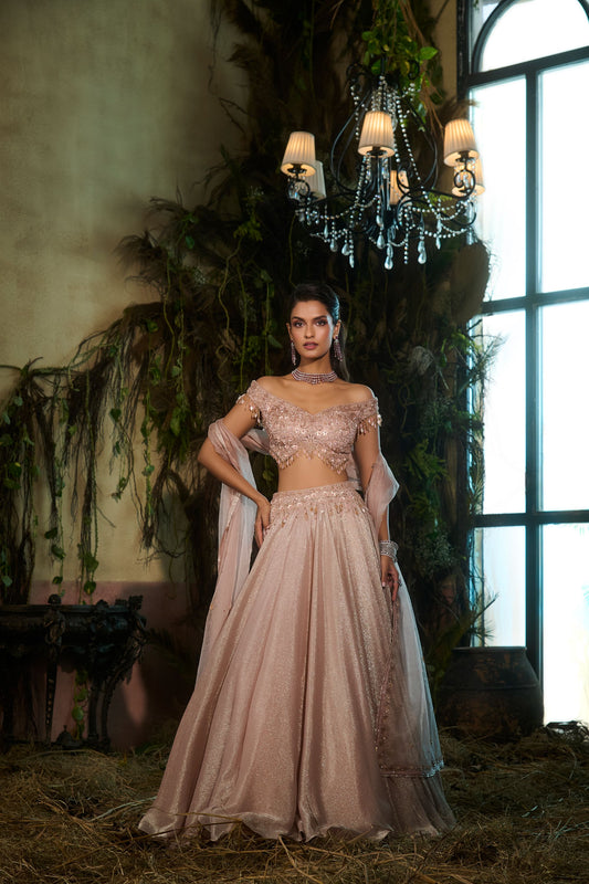 Metallic rose lehenga