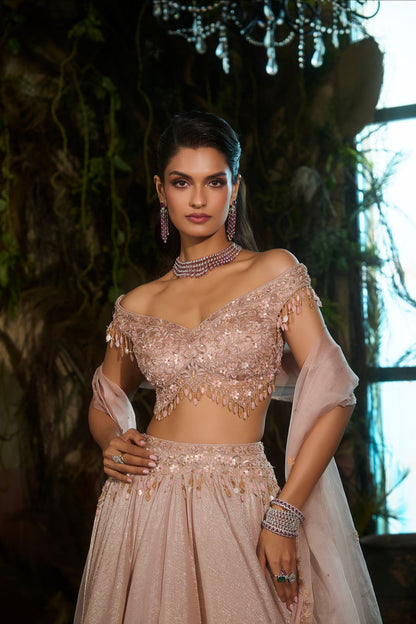 Metallic rose lehenga