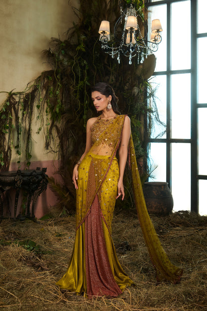Olive concept saree
