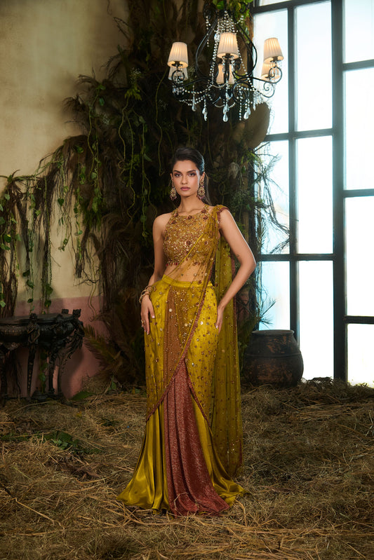 Olive concept saree