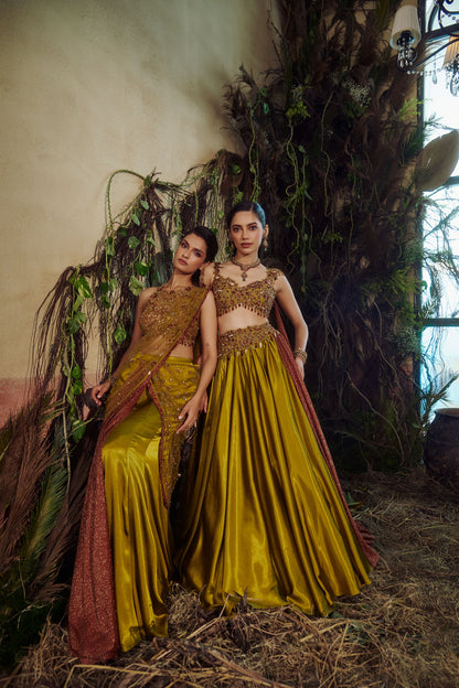 Olive concept saree