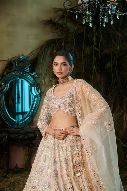 Miraya multi-colour lehenga