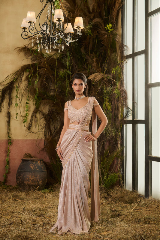Metallic peach concept saree