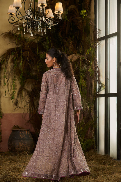 Grey jacket saree set