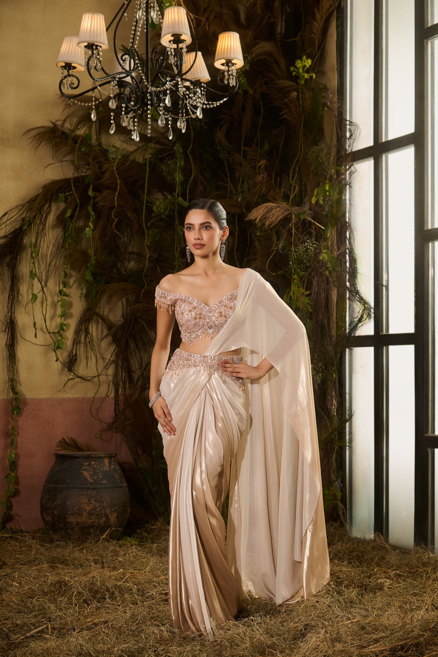 Nude Glass concept saree