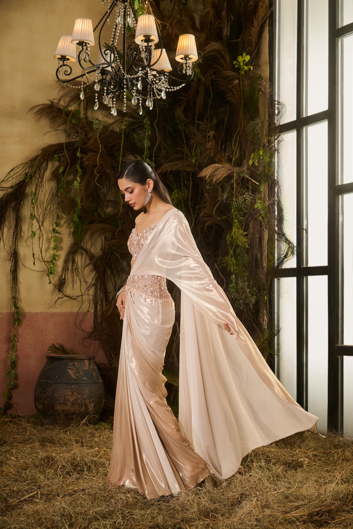 Nude Glass concept saree
