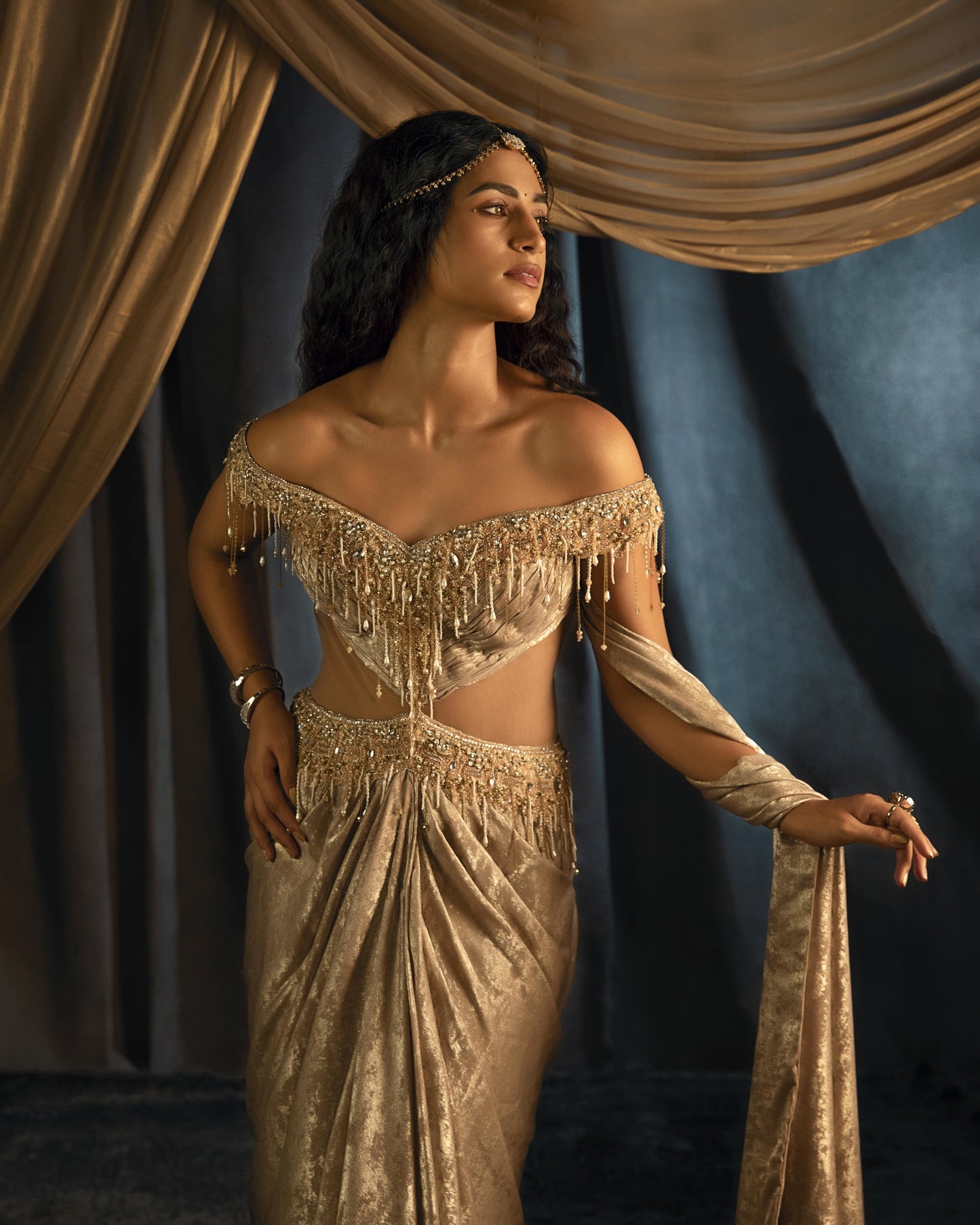 Leila gold saree gown